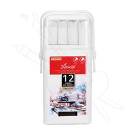 MARCADORES DUAL BRUSH  XIAOYI MARKER X12